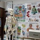 더모스트에이민박 | 🦴 [잠실/송파] 제이에스재활운동전문센터 재활치료/자세교정 강추후기 !! ⭐️