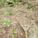 호경농장 이미지