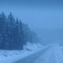 선광목장 이미지