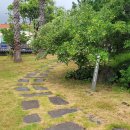 서복전시관 이미지