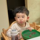 담소정육점