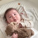 미스해피 | 흔하지 않은 애착인형 낮잠 재우기 필수템 보온 냉온 기능까지 있는 워미스 사용후기