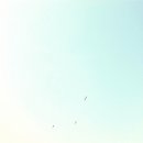 고수부지 이미지