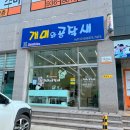 옥헤어싸롱개미와공작새 | 개미와 공작새 미용실 옥헤어싸롱 다녀왔어요