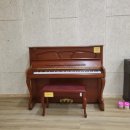 다움병원 이미지