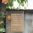 언제나,예쁘다 | ⛱️“여름을 즐기는 방법을 ㅇㅏ르켜줄게”🍉공주-변산 여행 후기🫧