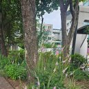 ♧. 잃어버린 하나님의 자녀의 권세를 회복해야 합니다. 이미지