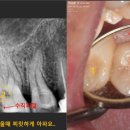내이치과기공소 이미지
