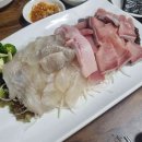 보떼달동