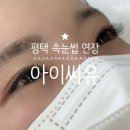안청로4길 | 평택 속눈썹 연장 아이씨유 청북속눈썹 정착