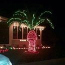 트리트리 이미지