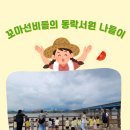 인성어린이집 이미지