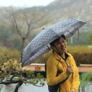 인삼랜드휴게소 이미지