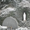 성모여자고등학교 이미지