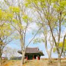 요산마을 이미지