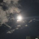 H6845 네이버블로그