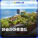 피노키오랑코끼리 | 하슬라아트월드강릉 예약 택시 이용 식당추천까지