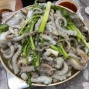 매일낙지 이미지