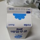 빵굽는곰 이미지