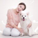 피씨에이치