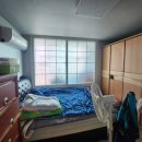 목화(2차) 이미지