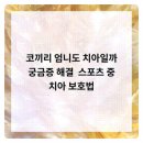 연세새로이치과의원 이미지