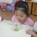 소정몬테소리어린이집 이미지