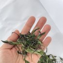 새뜸농장 이미지