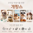 호텔몽 이미지