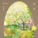 봄빛 이미지