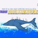 도와세움 평생교육센터