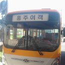 홍성 버스터미널 이미지