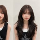 비비엔느 헤어살롱