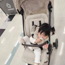 칠곡홈플투어