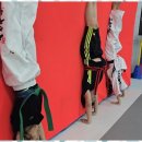 라온제나 태권도 이미지