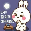 레인보우멀티샵 네이버블로그