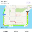 나이키 러닝화 추천 에어줌페가수스41PQ 내돈내산 후기