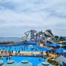 혁신이지태권도전주본관 이미지