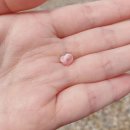 애견민박 멍집 | 태안 뛰어놀 수 있는 마당이 있는 애견 동반 숙소 '애견 민박 멍집' 후기