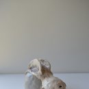 SINZOW展_ 살아있는 것들_Ceramic obect 이미지