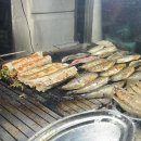 튀르키예 이스탄불 카라쿄이 Obishu hotel 내돈내산 숙소 후기 +) 카라쿄이 숙소 장단점, 맛집