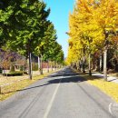 구계진료소 이미지