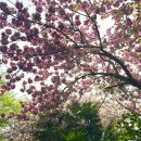 동백동산 이미지