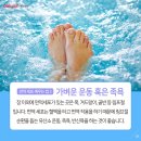 면역&족욕