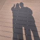 골드스테이호텔 | 가산동 골드리버 호텔 주말 숙박 안양천 벚꽃 리버뷰, 가성비 잡기 (방문 후기)