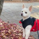 염주약국 이미지