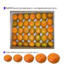 도반농장 이미지