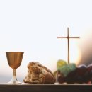 라파웰빙 이미지