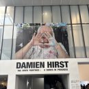 건강을그리는약국 | [전시] 데미안 허스트전 방문 후기 (주차·티켓현장구매꿀팁 포함)