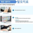 진피부사랑